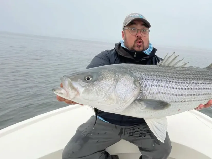 Boston North Shore Charters — their Charter Pro fishing site
